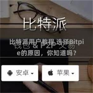 比特派用户教程 选择Bitpie的原因，你知道吗？