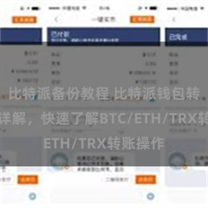 比特派备份教程 比特派钱包转账教程详解，快速了解BTC/ETH/TRX转账操作