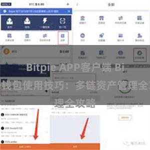 Bitpie APP客户端 Bitpie钱包使用技巧：多链资产管理全攻略