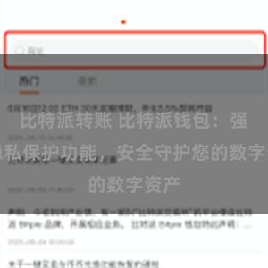 比特派转账 比特派钱包：强大隐私保护功能，安全守护您的数字资产