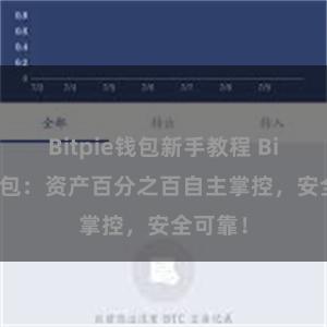 Bitpie钱包新手教程 Bitpie钱包：资产百分之百自主掌控，安全可靠！