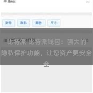 比特派 比特派钱包：强大的隐私保护功能，让您资产更安全