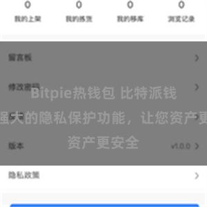 Bitpie热钱包 比特派钱包：强大的隐私保护功能，让您资产更安全