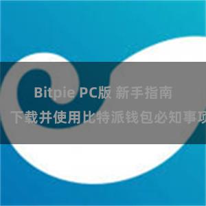 Bitpie PC版 新手指南：下载并使用比特派钱包必知事项