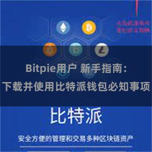 Bitpie用户 新手指南：下载并使用比特派钱包必知事项