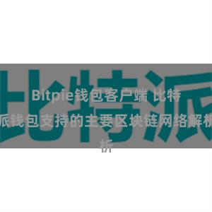 Bitpie钱包客户端 比特派钱包支持的主要区块链网络解析