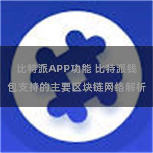 比特派APP功能 比特派钱包支持的主要区块链网络解析