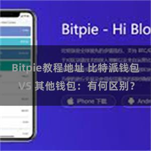 Bitpie教程地址 比特派钱包 VS 其他钱包：有何区别？