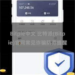 Bitpie中文 比特派(Bitpie)官网常见诈骗防范提醒