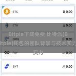 Bitpie下载免费 比特派(Bitpie)钱包的团队背景与技术实力