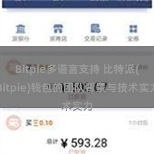 Bitpie多语言支持 比特派(Bitpie)钱包的团队背景与技术实力