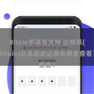 Bitpie多语言支持 比特派(Bitpie)交易历史记录在哪里查看？