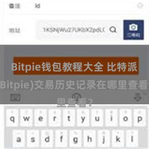 Bitpie钱包教程大全 比特派(Bitpie)交易历史记录在哪里查看？