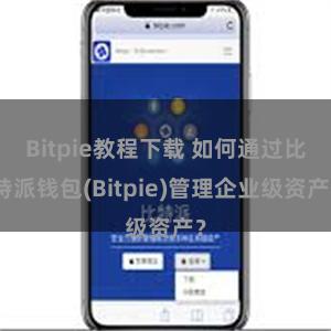 Bitpie教程下载 如何通过比特派钱包(Bitpie)管理企业级资产？