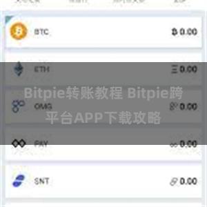 Bitpie转账教程 Bitpie跨平台APP下载攻略