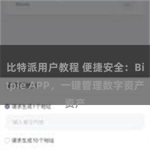 比特派用户教程 便捷安全：Bitpie APP，一键管理数字资产