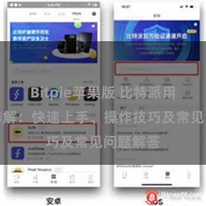 Bitpie苹果版 比特派用户指南详解：快速上手、操作技巧及常见问题解答
