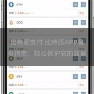 比特派支付 比特派APP备份指南：轻松保护您的数据