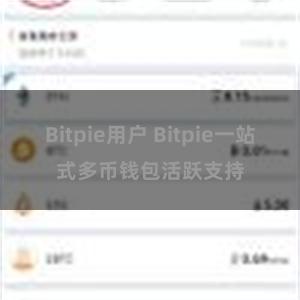 Bitpie用户 Bitpie一站式多币钱包活跃支持