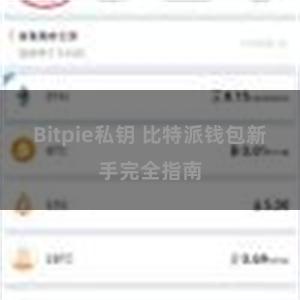 Bitpie私钥 比特派钱包新手完全指南
