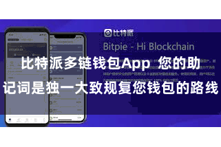 比特派多链钱包App  您的助记词是独一大致规复您钱包的路线