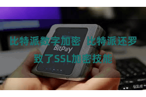 比特派数字加密  比特派还罗致了SSL加密技能