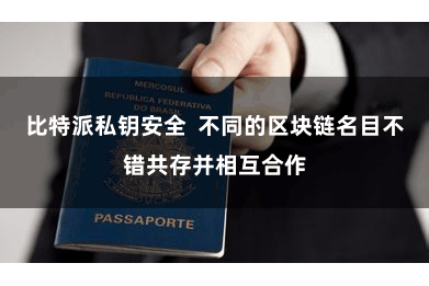 比特派私钥安全  不同的区块链名目不错共存并相互合作