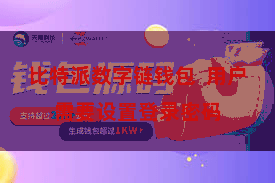 比特派数字链钱包  用户需要设置登录密码