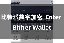 比特派数字加密  Enter Bither Wallet